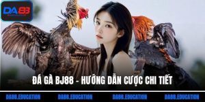 đá gà bj88